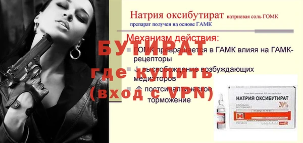 СК Ельня