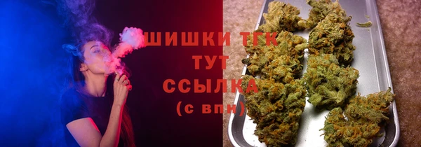 СК Ельня