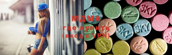 СК Ельня
