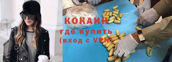 СК Ельня