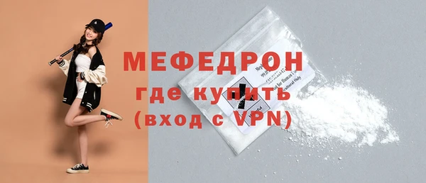 СК Ельня