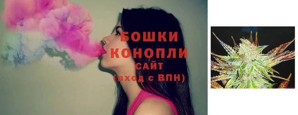 СК Ельня
