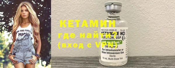 СК Ельня