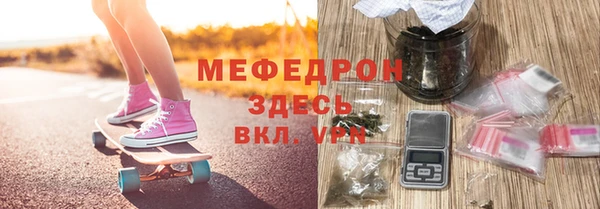СК Ельня
